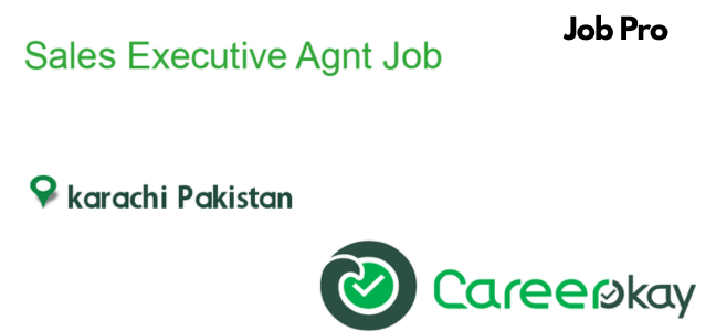 Sales Executive Jobs in Pakistan